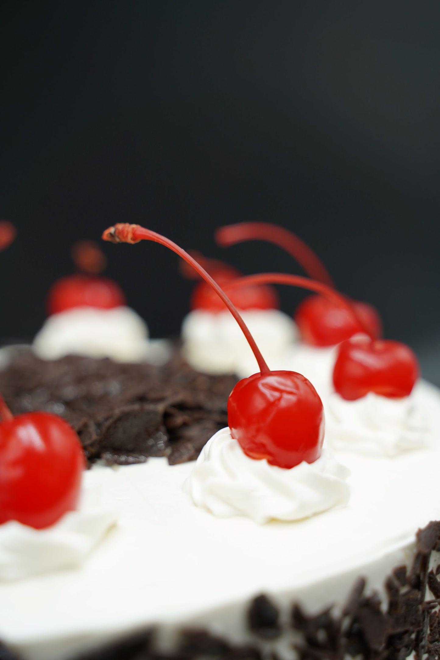 Black Forest Torte