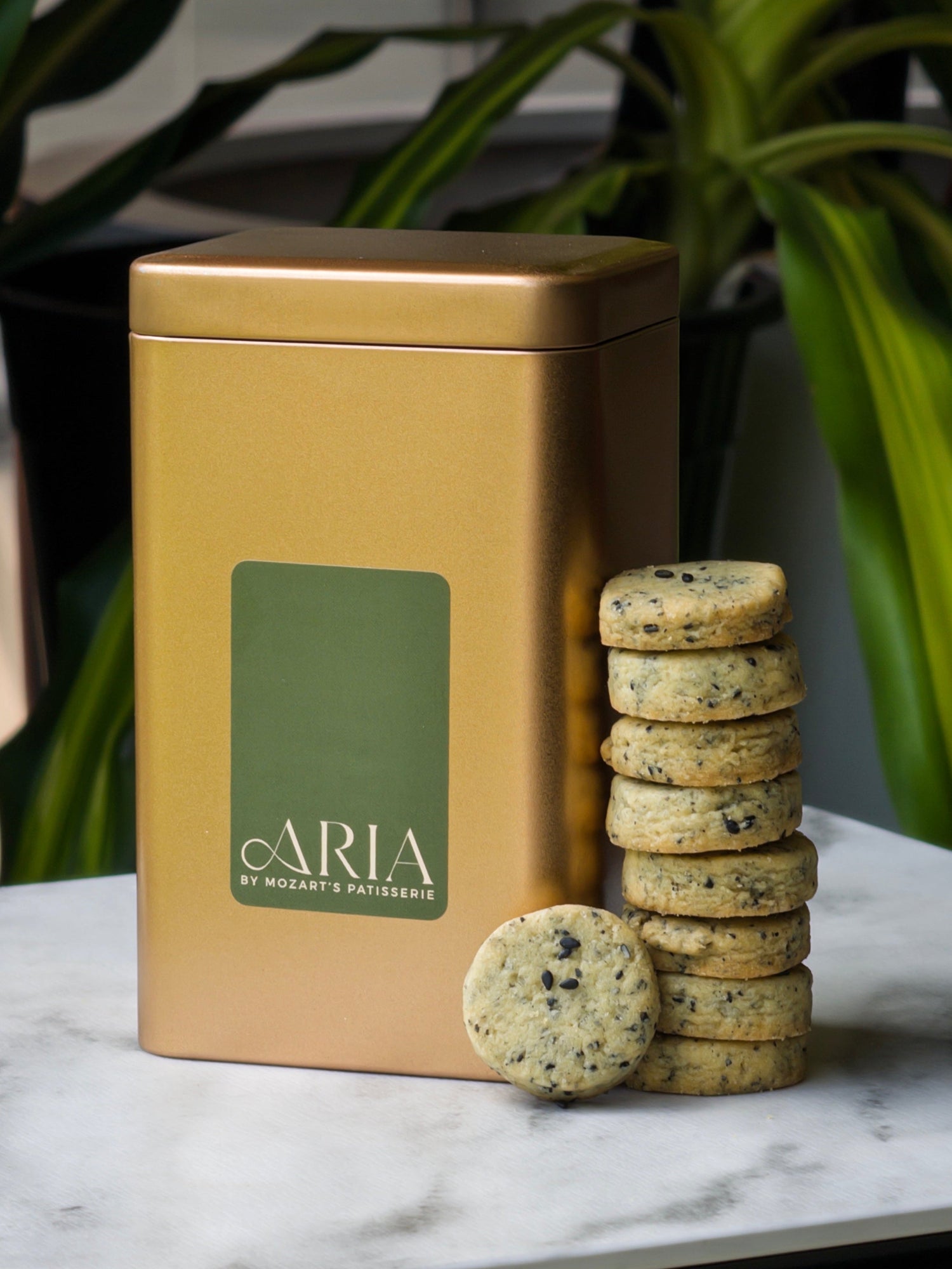 ARIA Lunar New Year 2026