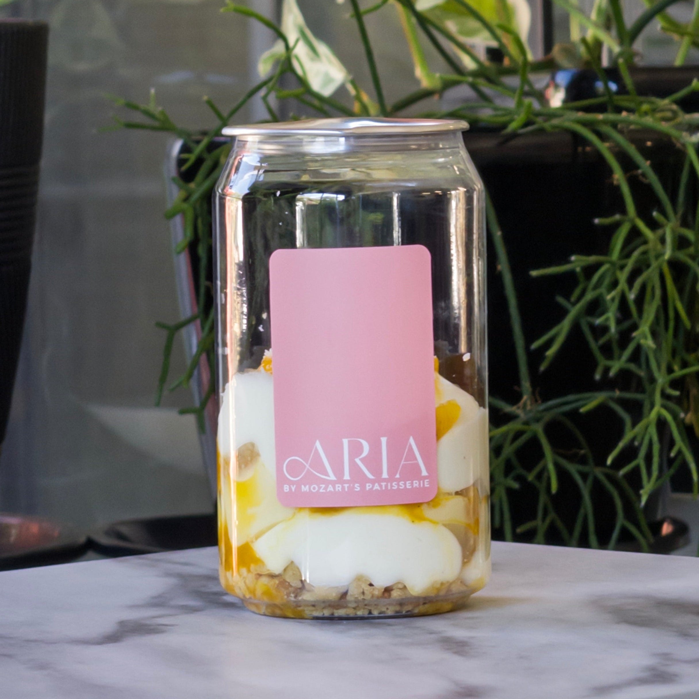 Mango Coconut 130g (4)