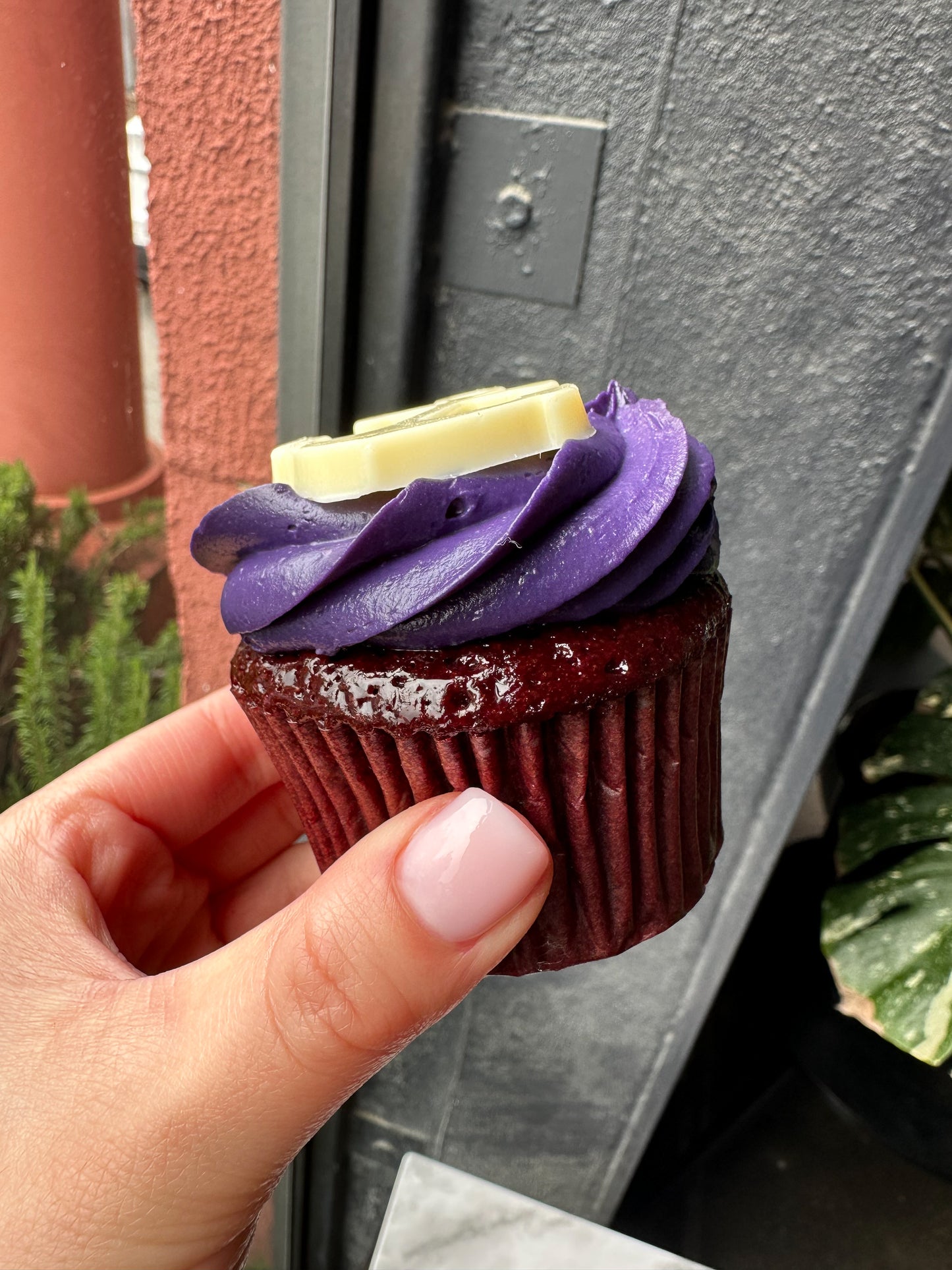 Assorted Fremantle Dockers Cupcakes (12)