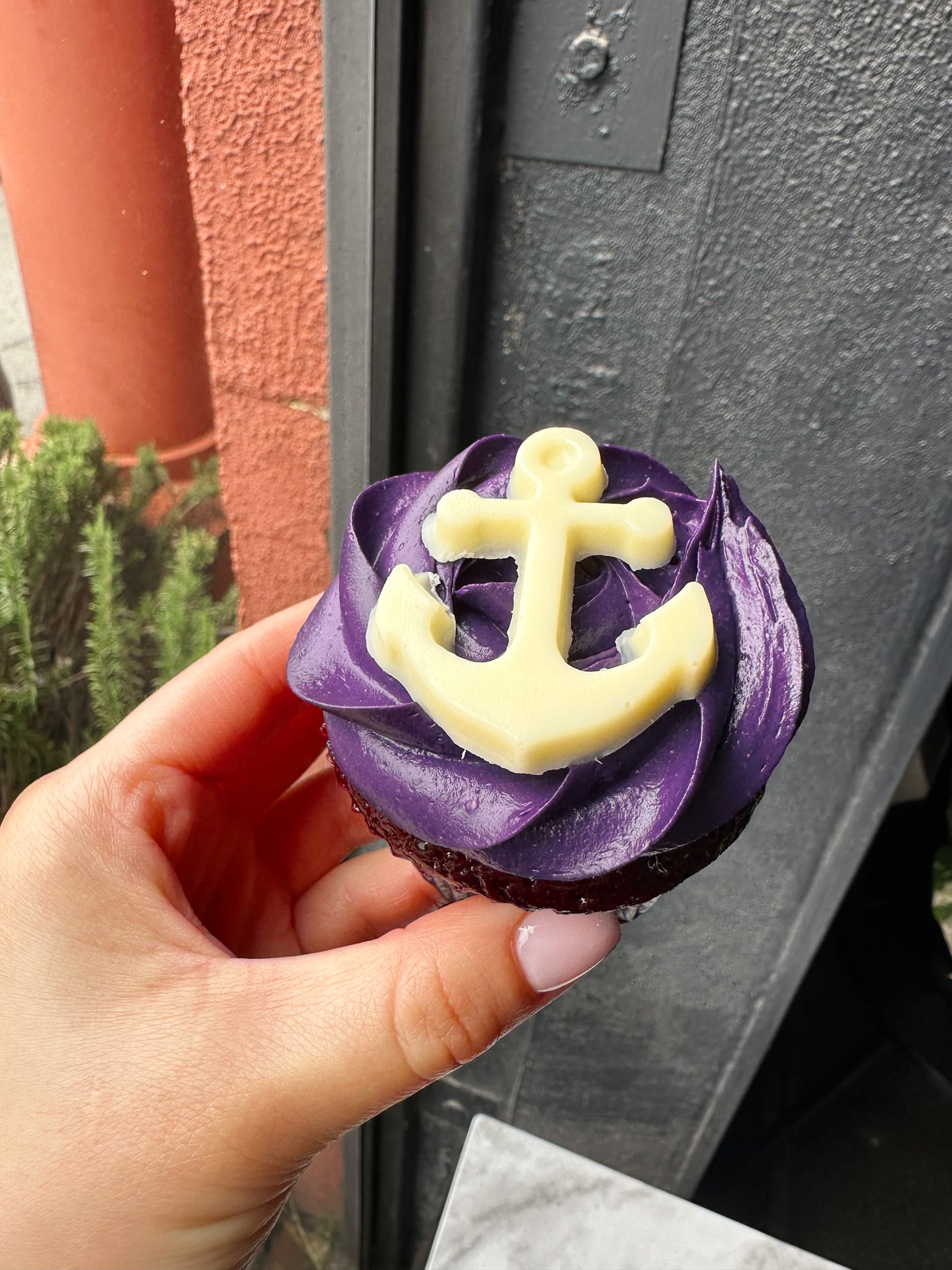 Assorted Fremantle Dockers Cupcakes (12)