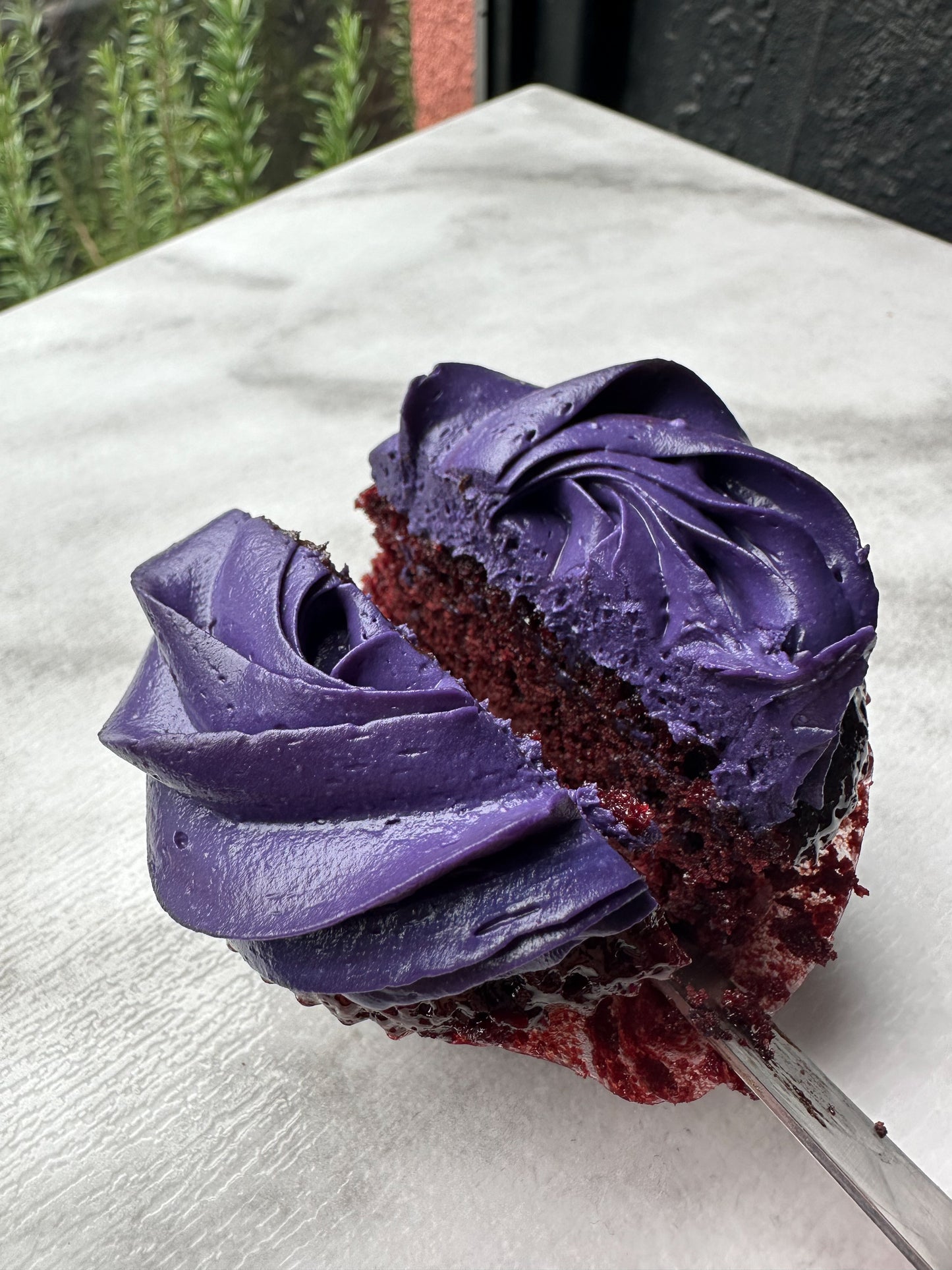 Assorted Fremantle Dockers Cupcakes (12)