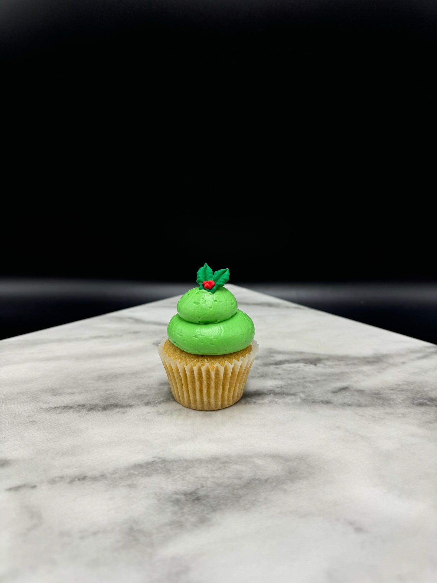 Mini Christmas Cupcakes (24)